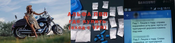 PSILOCYBIN Заводоуковск