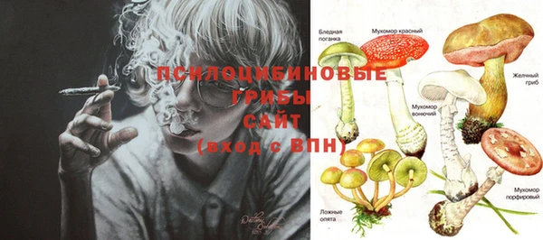 PSILOCYBIN Заводоуковск