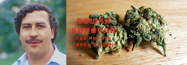 apvp Осинники
