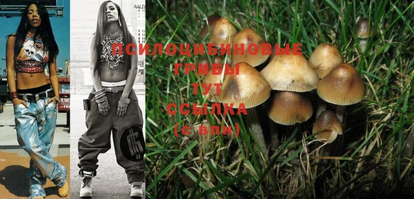 PSILOCYBIN Заводоуковск