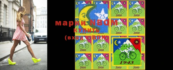 PSILOCYBIN Заводоуковск