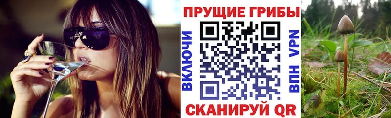 Псилоцибиновые грибы MAGIC MUSHROOMS  Петухово 